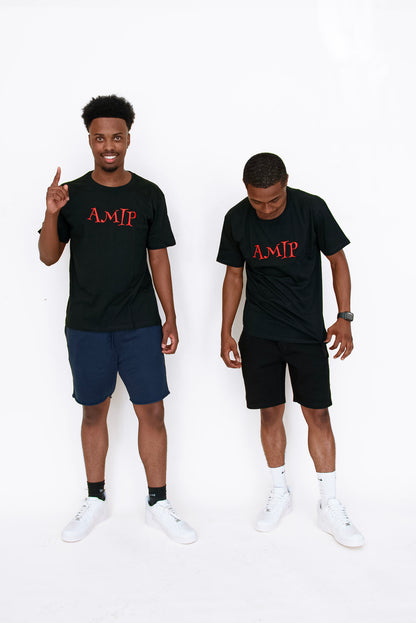 Amip Bred Tee Shirt